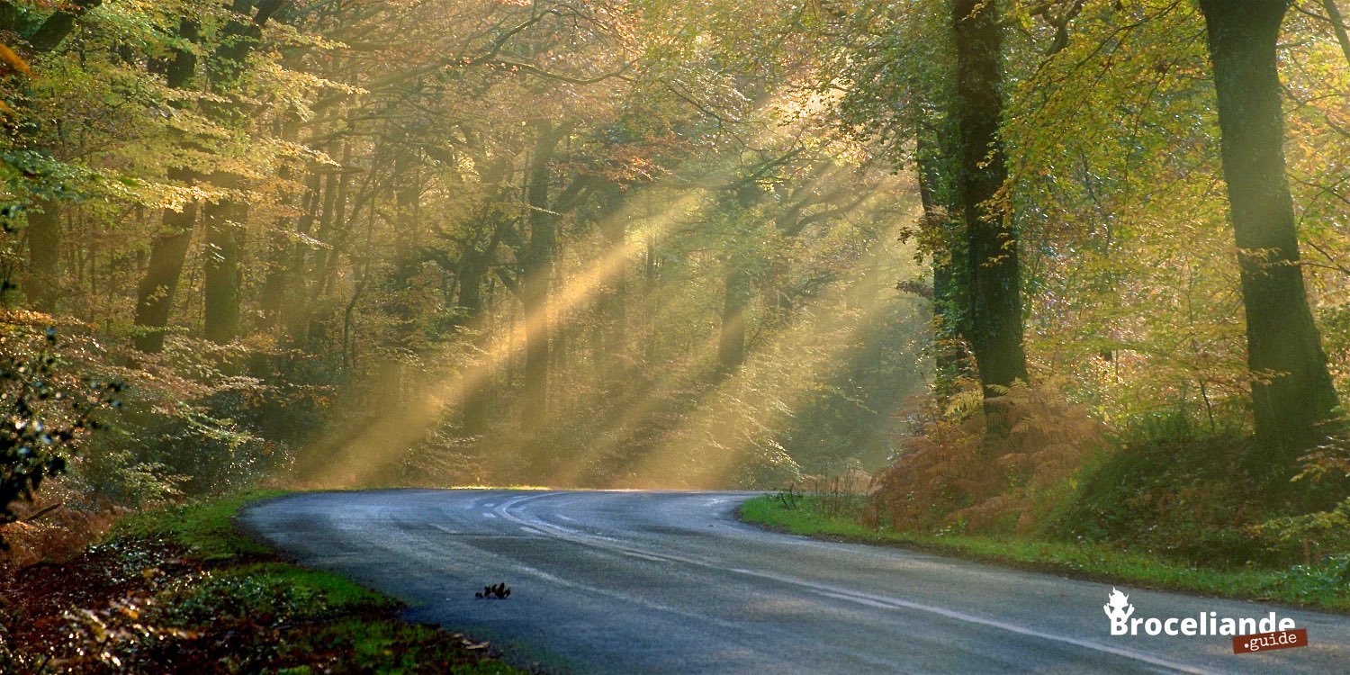 En route vers la forêt de Brocéliande